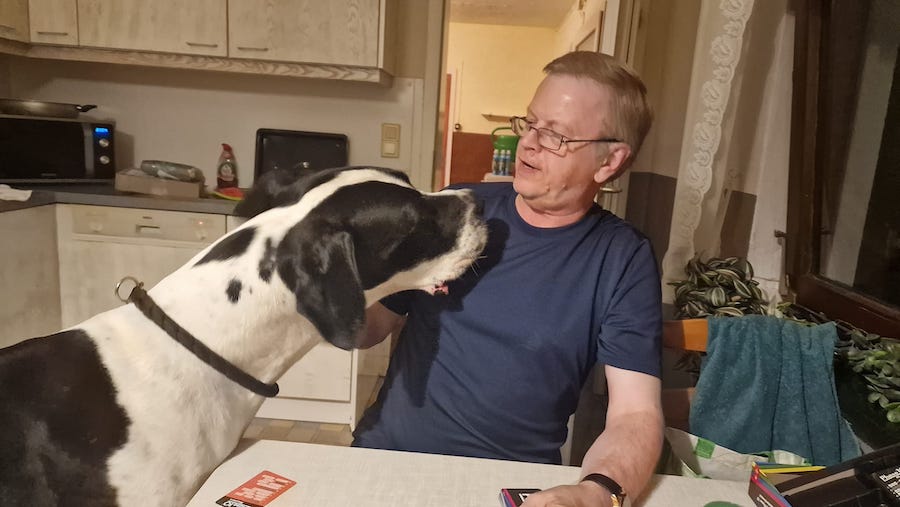 Hund Aron beschnüffelt Besucher